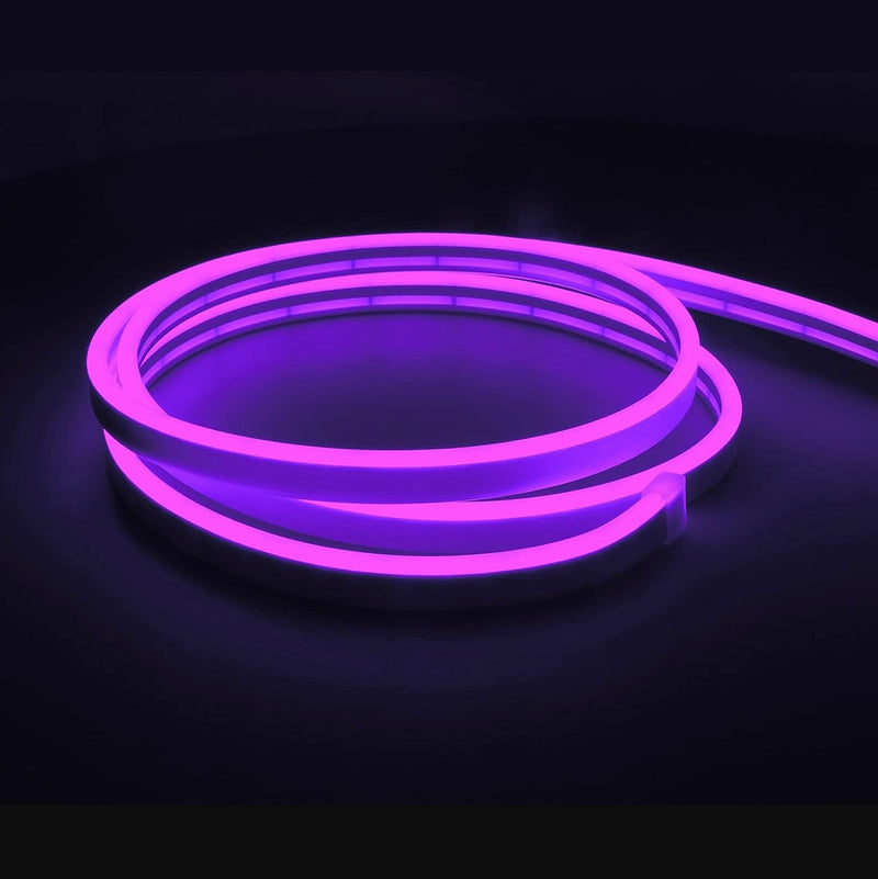 Neon Light Stripes - Purple - – Casa Chroma